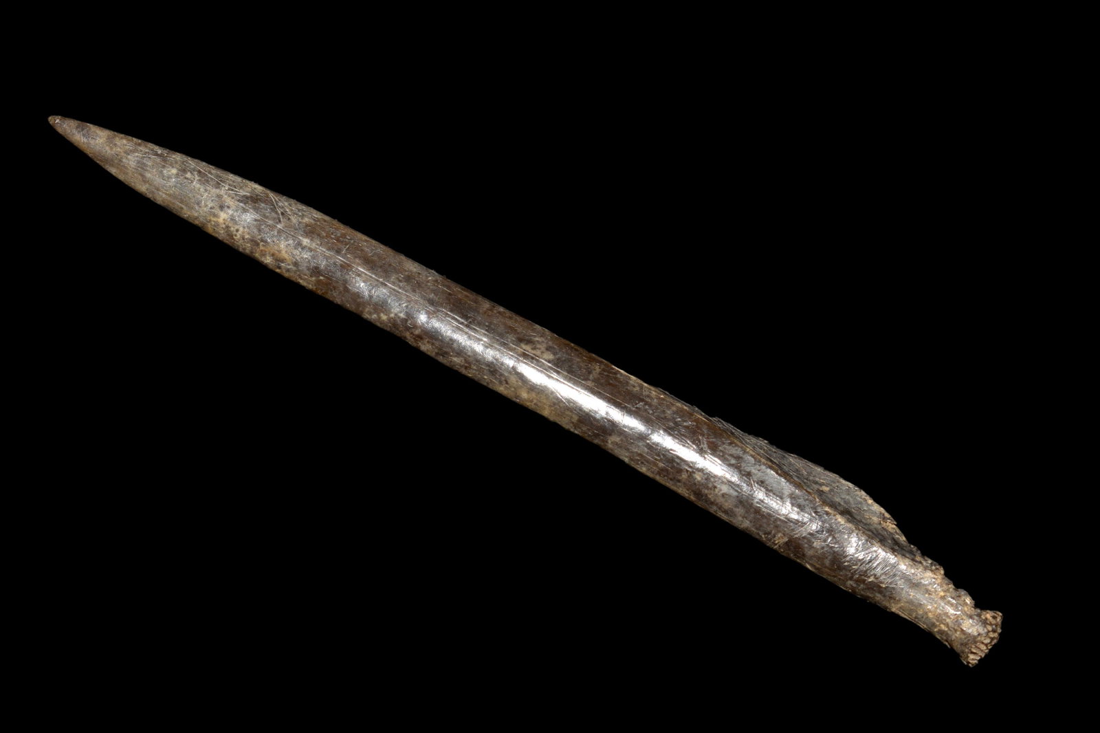 4" Bone Awl, Warren Co TN, Shelter Site Collins River,: 4" Bone Awl, Warren Co TN, Shelter Site Collins River, Native American Artifact