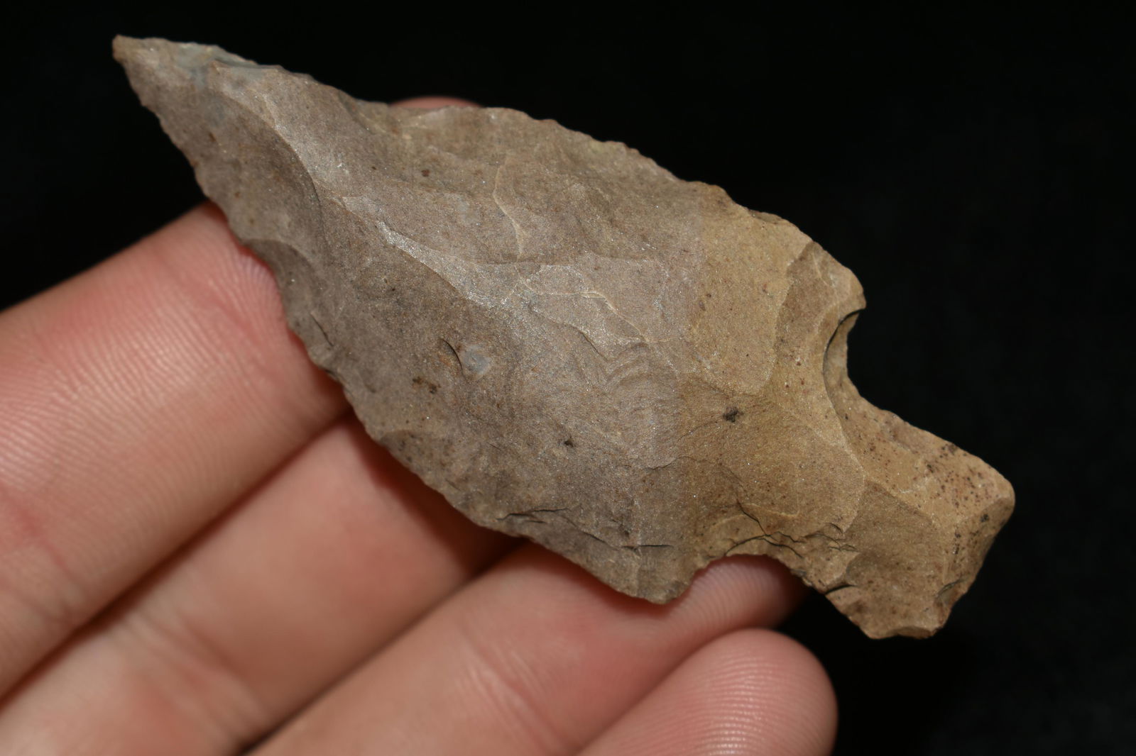 2 3/4" BUCK CREEK FOUND IN THE BENTON / HUMPHREYS (1 of 6)