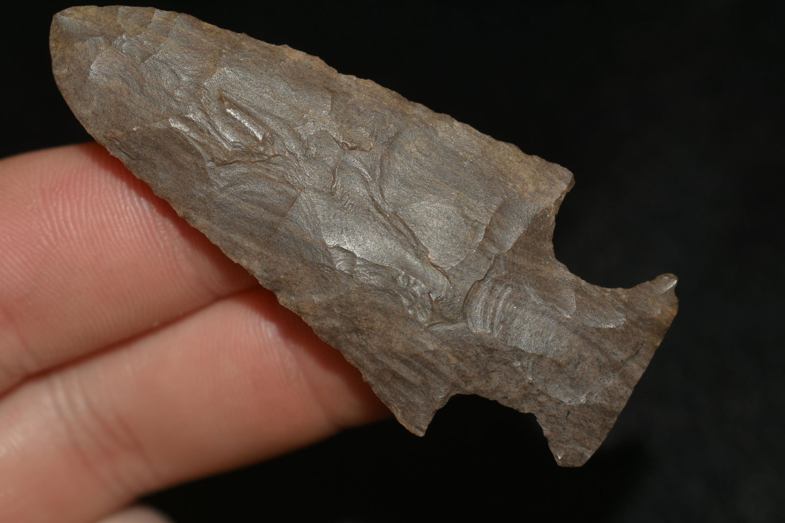 STRIPED FLINT 2 1/2" LONG MOTLEY, VERY THIN, FOUND IN (1 of 7)