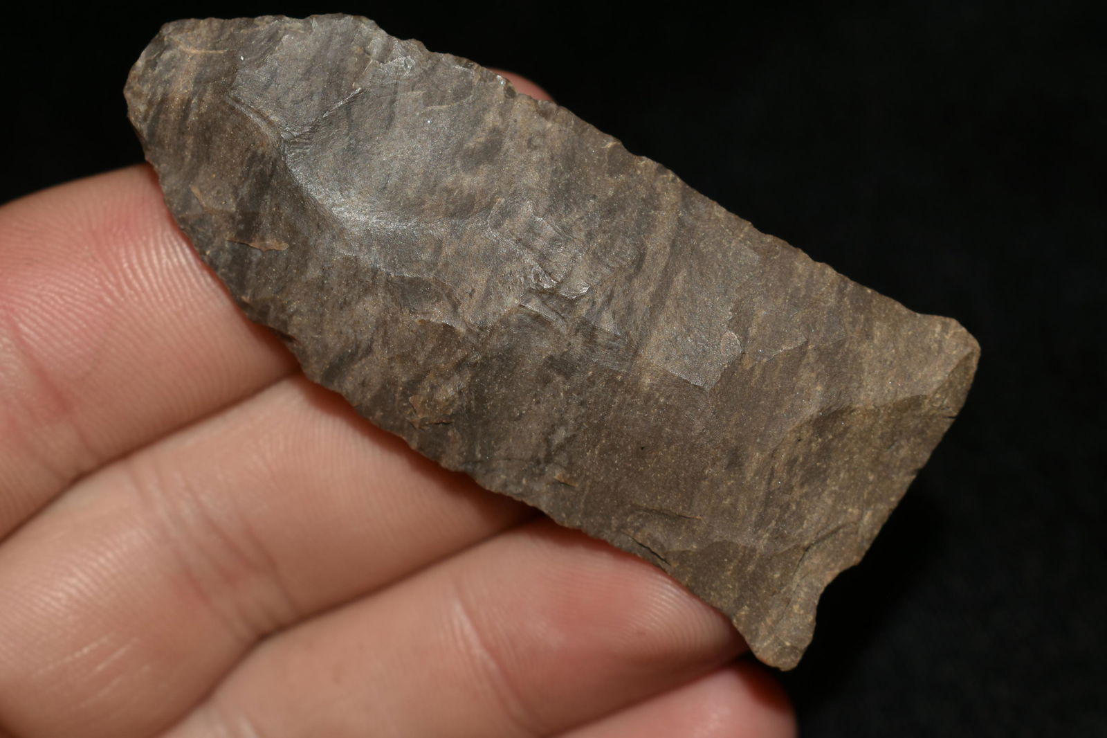 2 1/2" DOVER COPENA FOUND IN THE BENTON / HUMPHREYS (1 of 7)