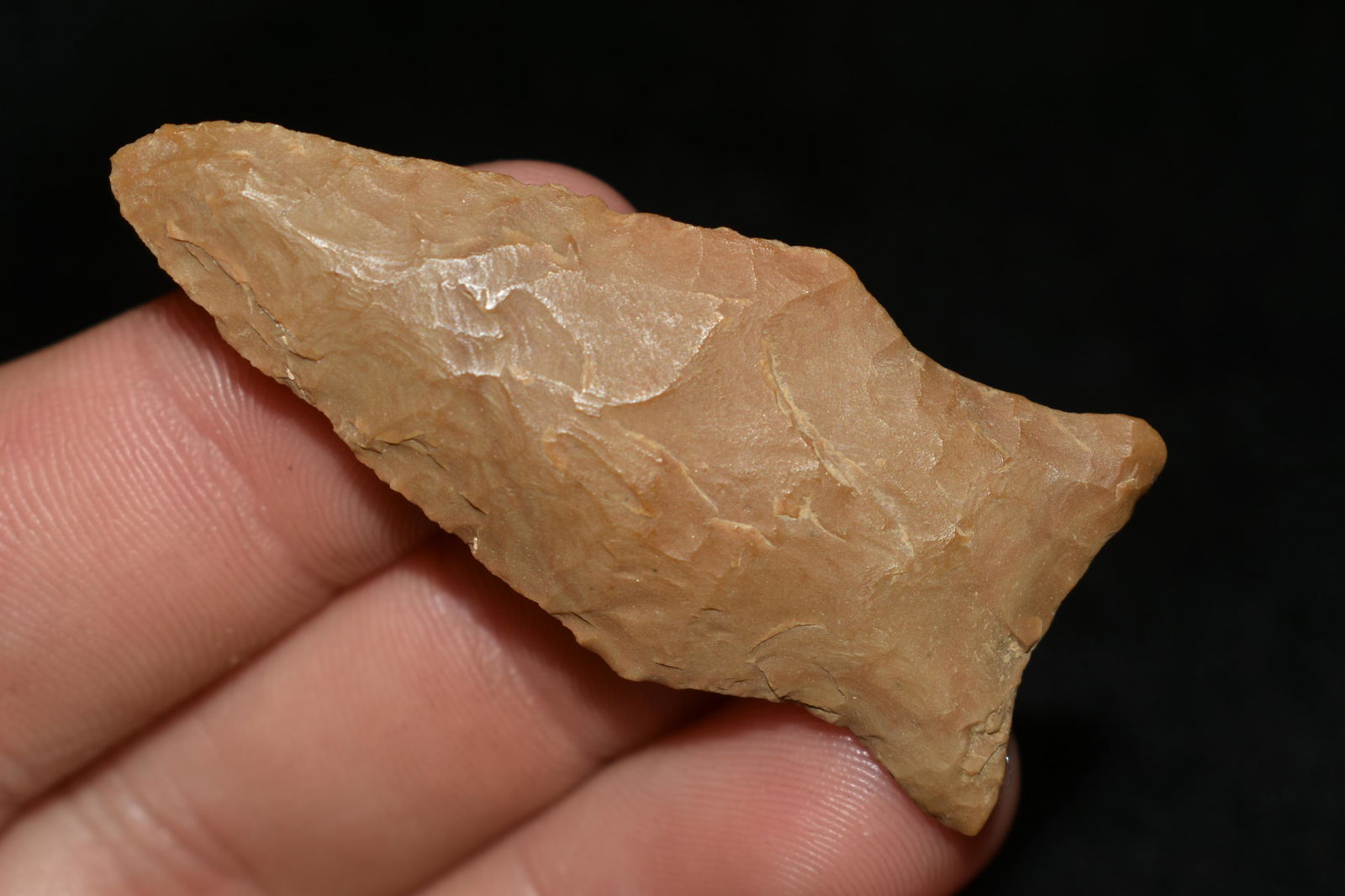 NICE 2 1/16" GREENBRIAR FOUND IN THE BENTON / HUMPHREYS (1 of 6)