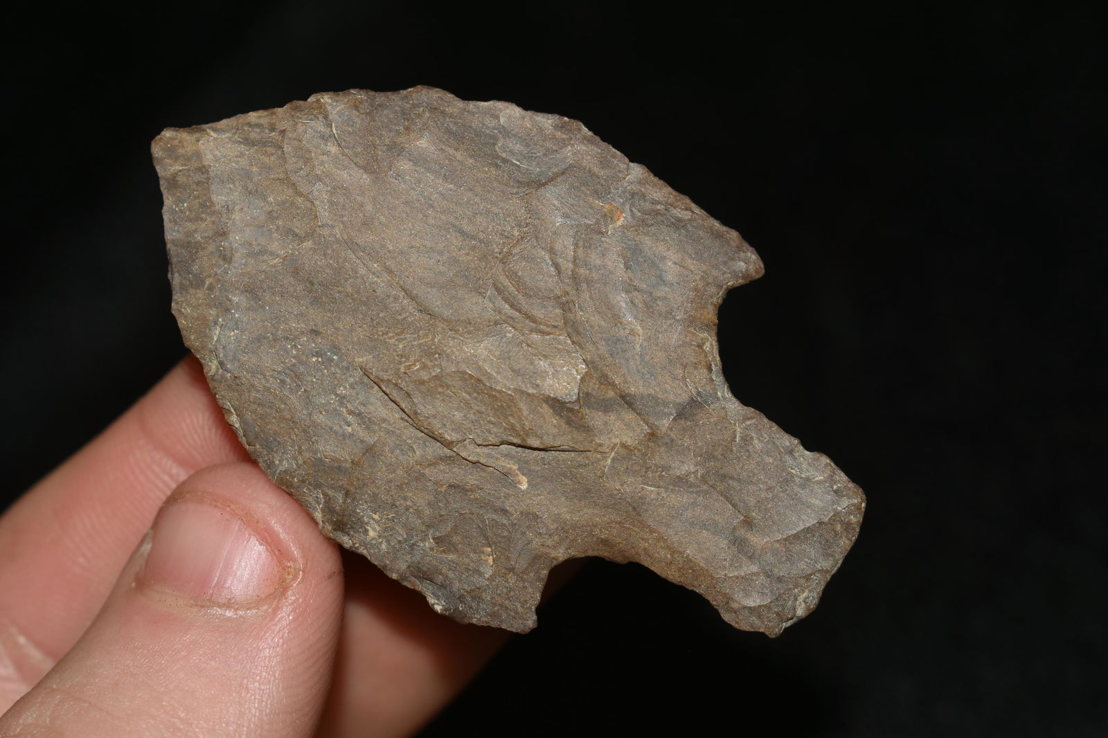 2 1/4" BUCK CREEK FOUND IN THE BENTON / HUMPHREYS (1 of 6)