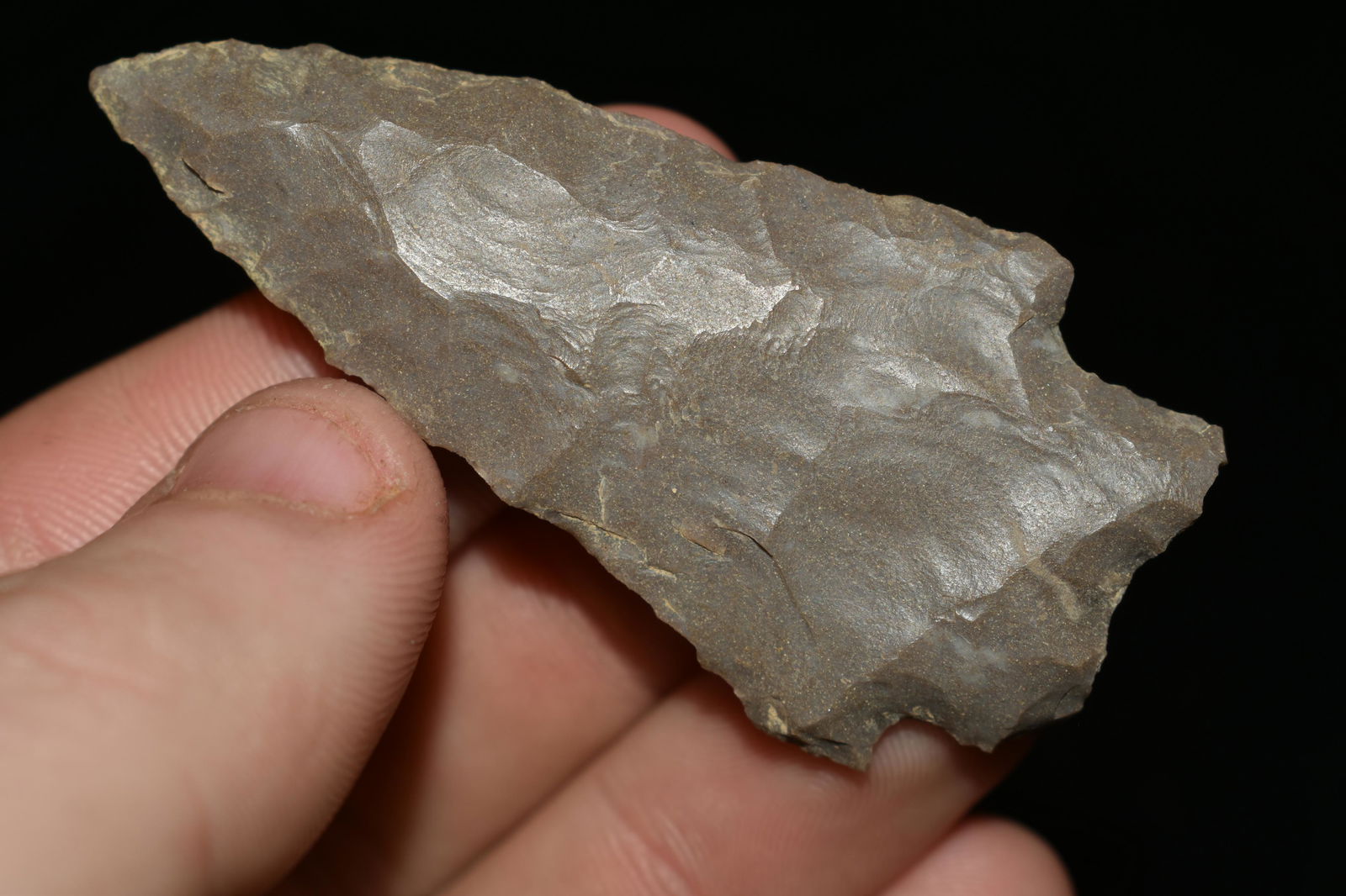 2 1/2" STILLWELL FOUND IN THE BENTON / HUMPHREYS COUNTY (1 of 6)