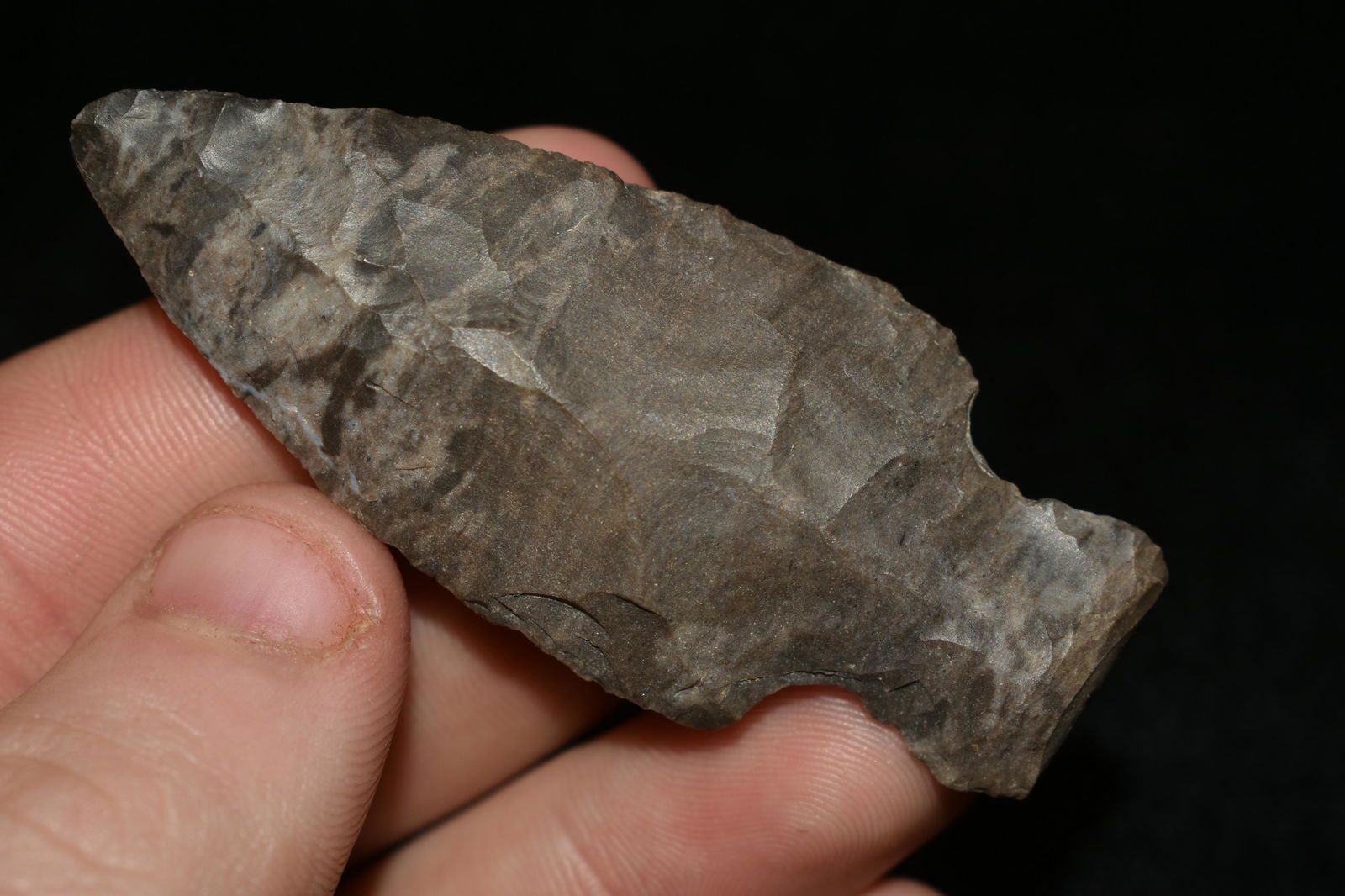 2 5/8" MOTLEY FOUND IN THE BENTON / HUMPHREYS COUNTY (1 of 6)