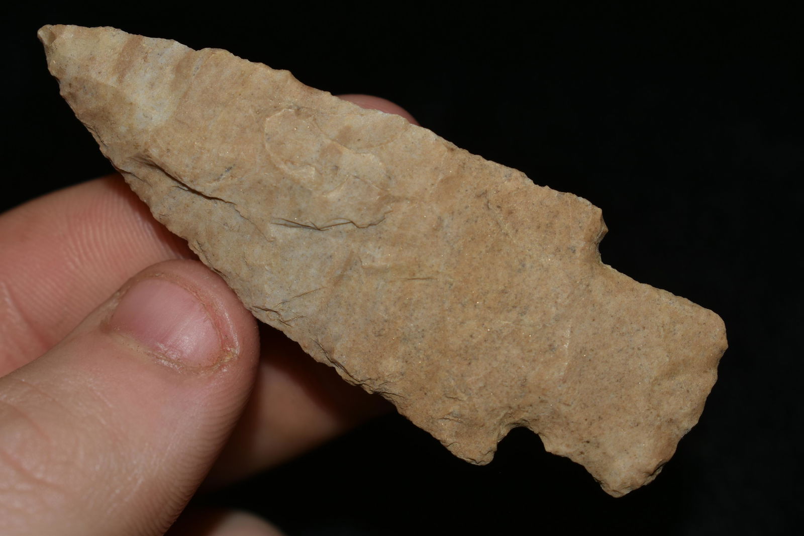 2 3/4" BAKERS CREEK FOUND IN THE BENTON / HUMPHREYS (1 of 6)