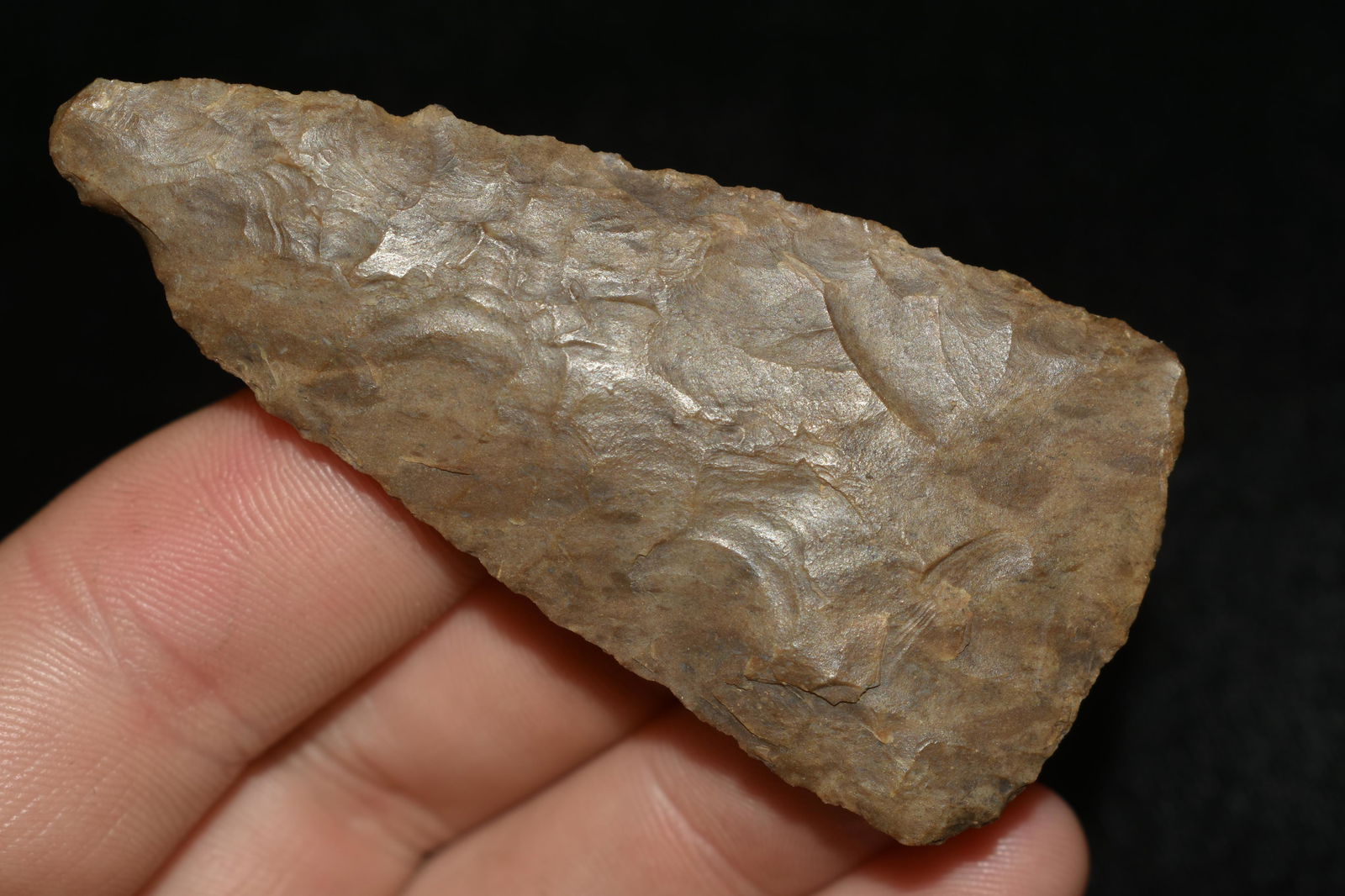 2 7/8" LONG COBBS BLADE FOUND IN THE BENTON / HUMPHREYS (1 of 6)