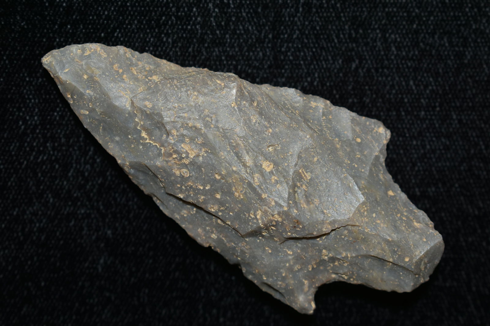 2 7/8" ADENA FOUND IN THE BENTON / HUMPHREYS COUNTY (1 of 6)