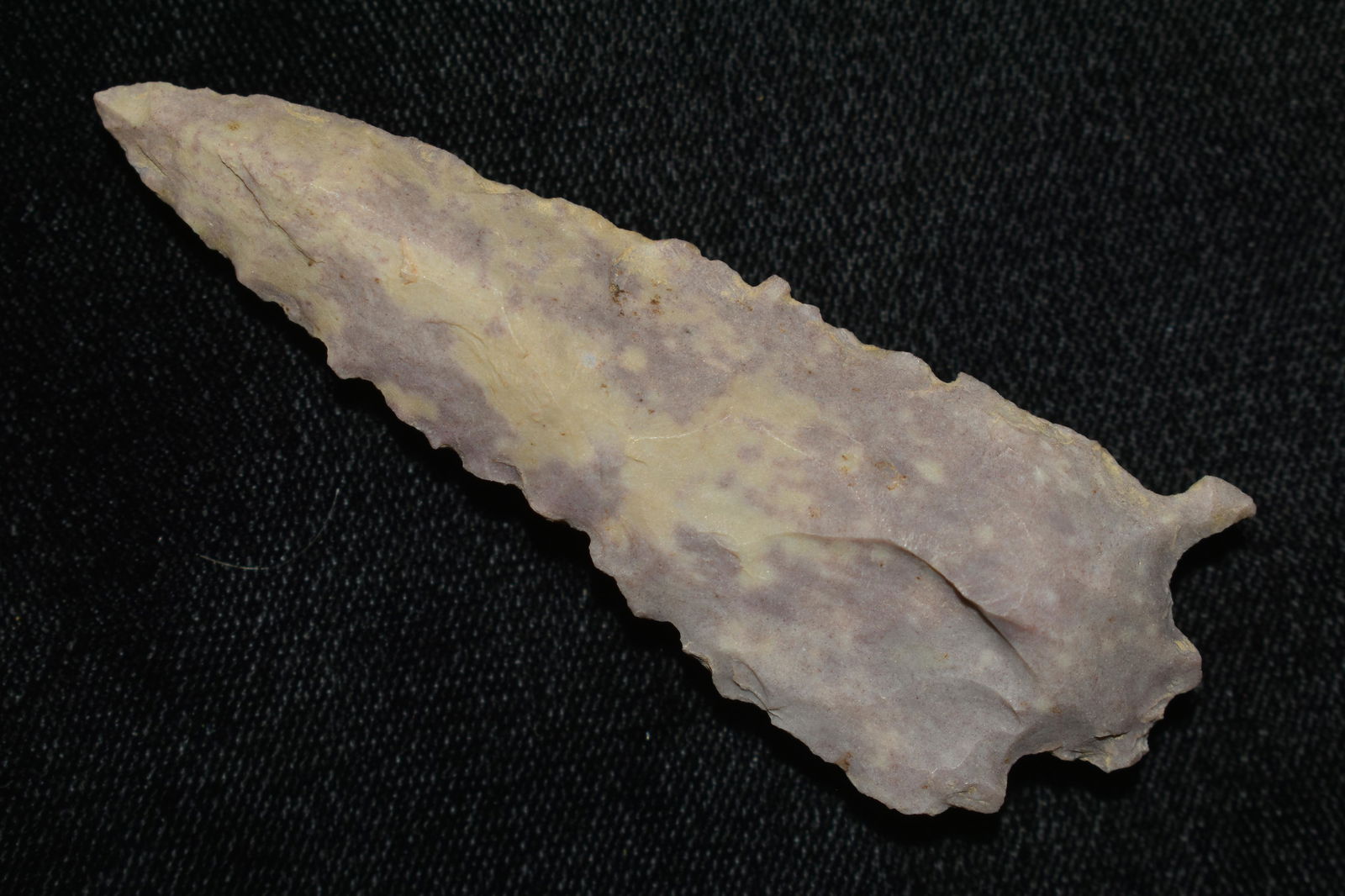 PURPLE COLORED KIRK STEMMED SERRATED FOUND IN THE (1 of 6)