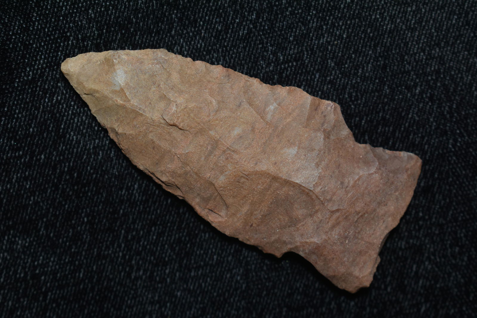 2 1/2" BAKERS CREEK FOUND IN THE BENTON / HUMPHREYS (1 of 6)