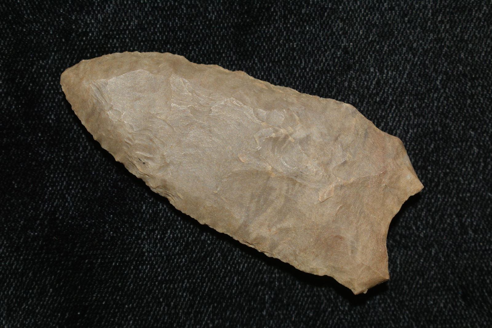 2 1/2" GREENBRIAR FOUND IN THE BENTON / HUMPHREYS (1 of 6)