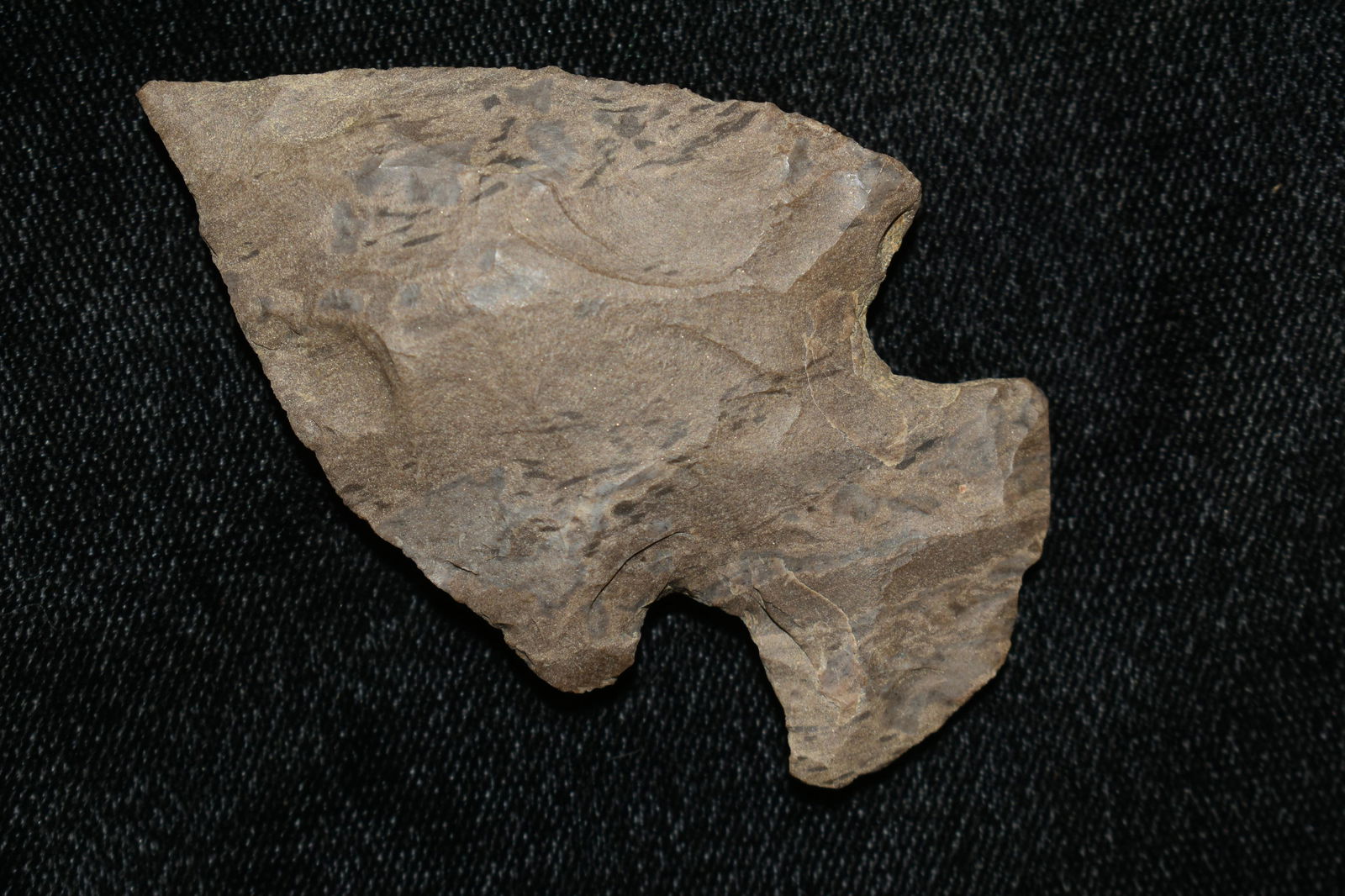 2 1/2" MOTLEY FOUND IN THE BENTON / HUMPHREYS COUNTY (1 of 6)