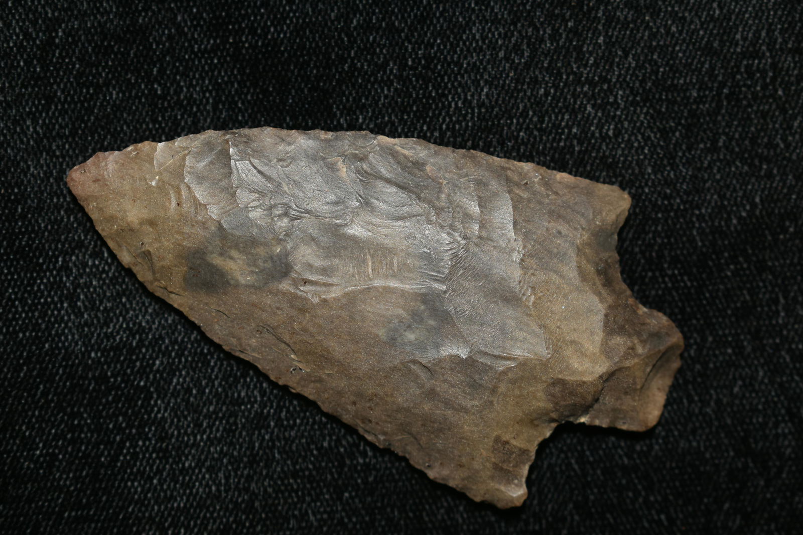 2 3/4" PICKWICK FOUND IN THE BENTON / HUMPHREYS COUNTY (1 of 6)