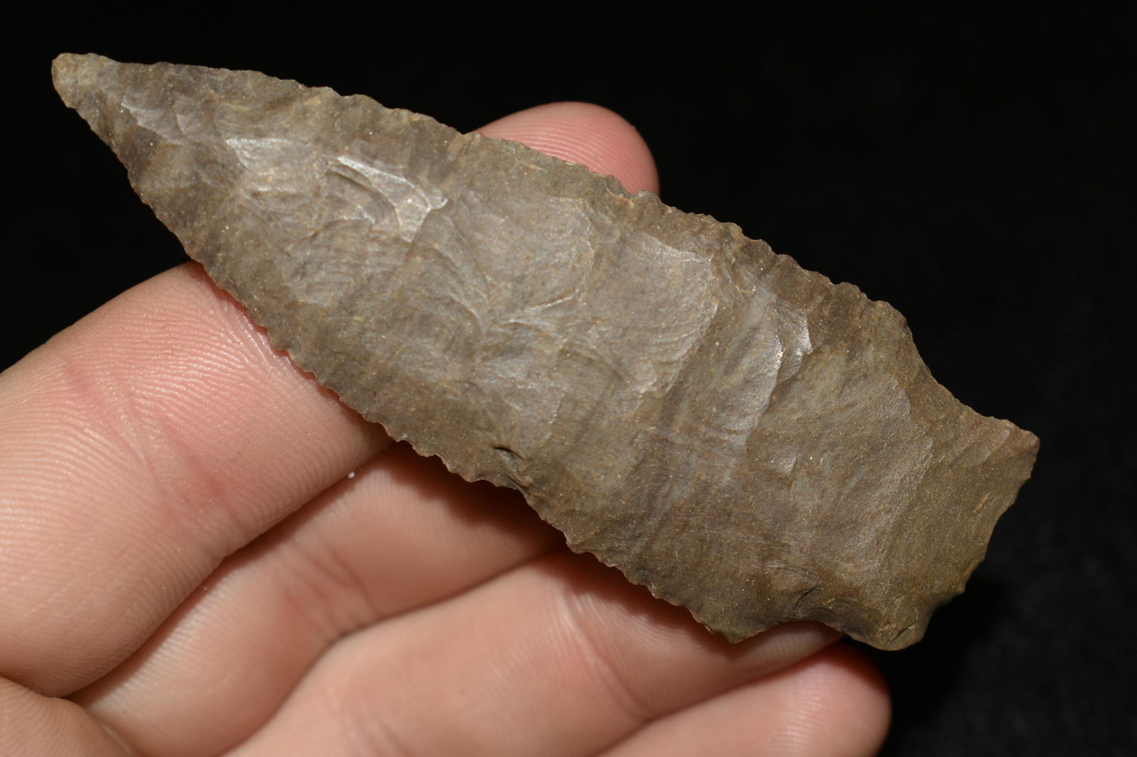 3 1/8" LONG HARPETH RIVER FOUND IN THE BENTON / (1 of 5)