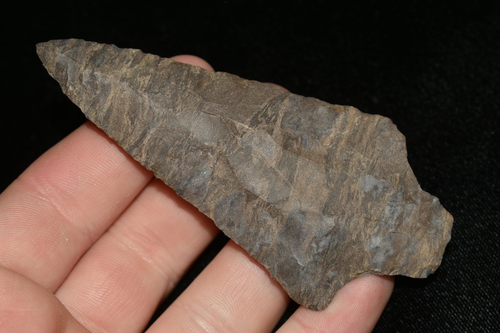 NICE 3 3/4" PICKWICK FOUND IN THE BENTON / HUMPHREYS (1 of 5)