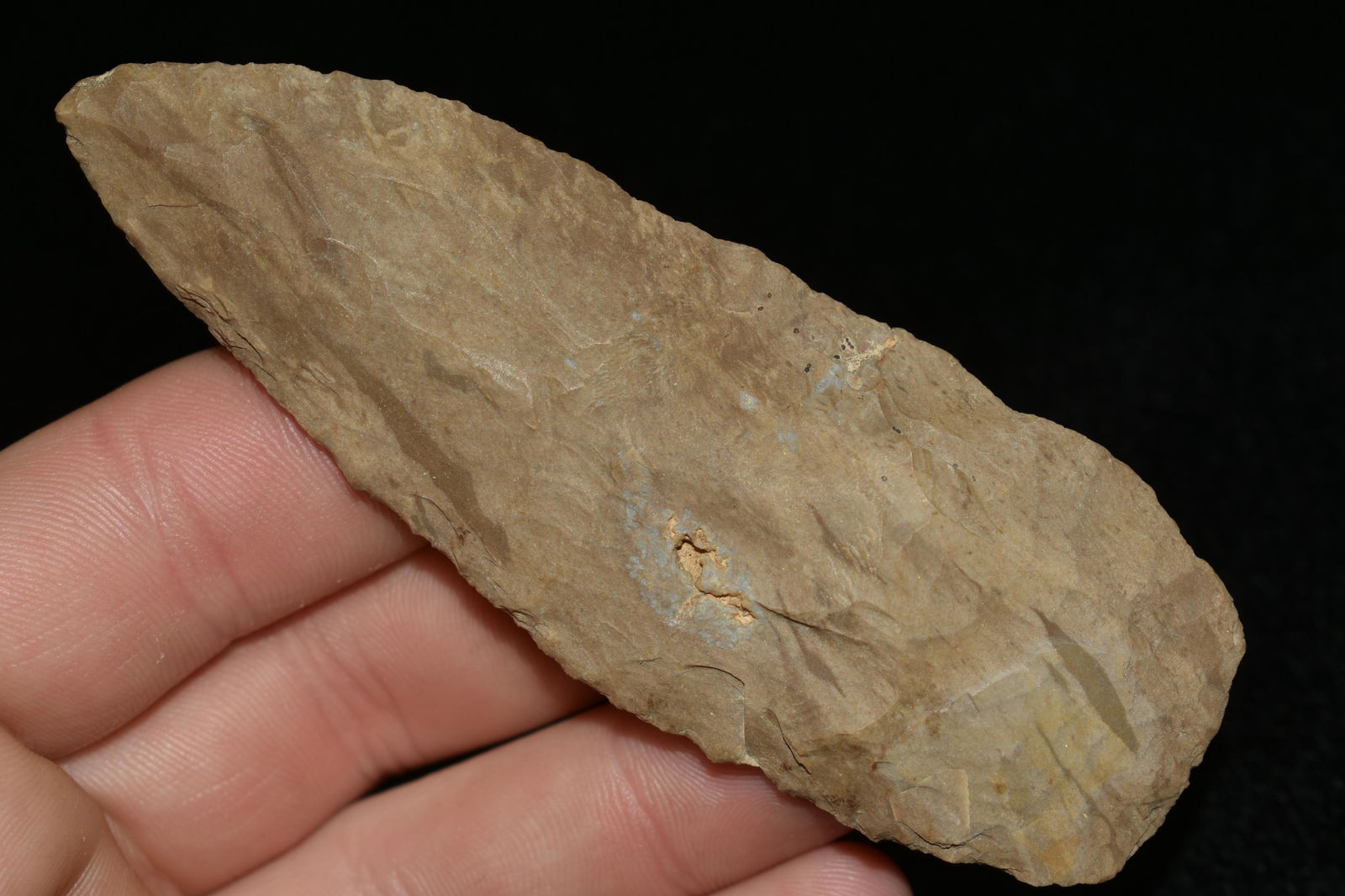 3 3/4" LEAF BLADE FOUND IN THE BENTON / HUMPHREYS (1 of 5)