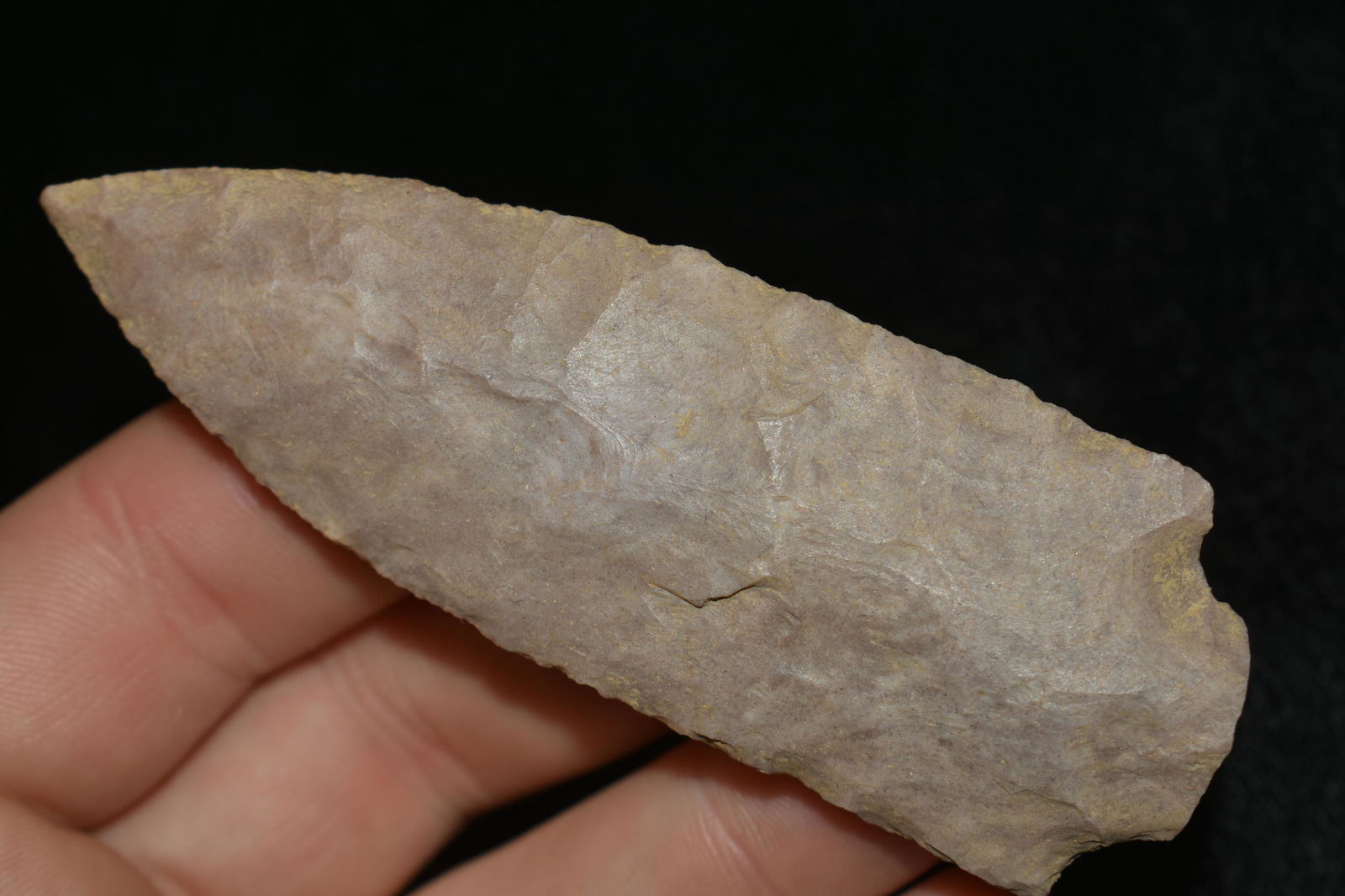 NICE 3 1/2" PICKWICK FOUND IN THE BENTON / HUMPHREYS (1 of 5)