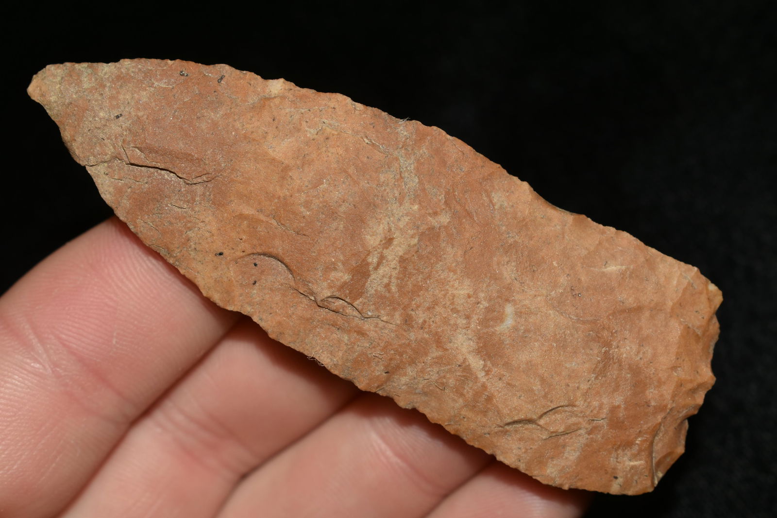 3 3/8" STANFIELD BLADE FOUND IN THE BENTON / HUMPHREYS (1 of 5)