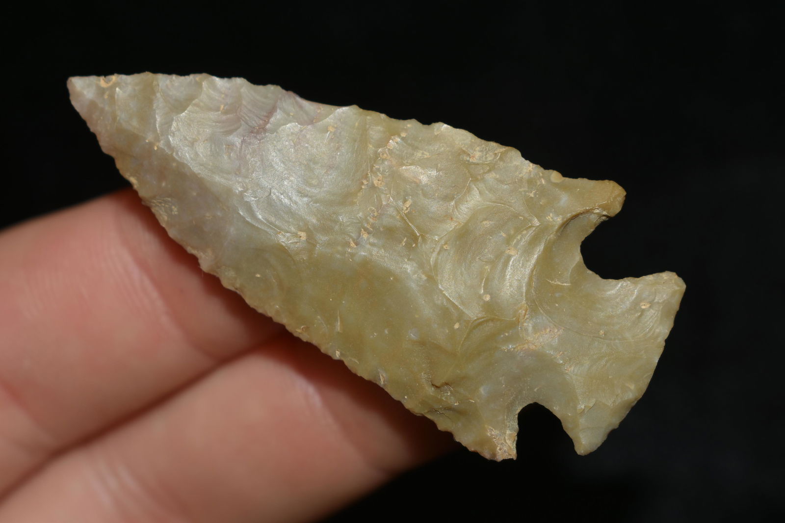 AMAZING 2 3/16" GREEN CHALCEDONY KIRK CORNERNOTCH FOUND (1 of 5)