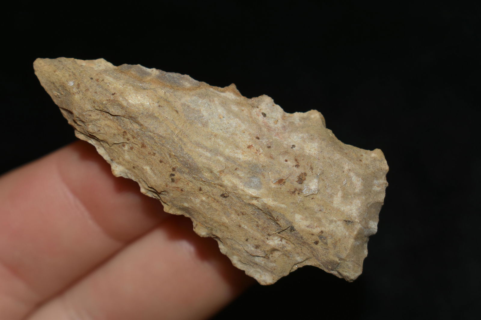 COLORFUL 2 1/4" LONG SERRATED KIRK STEMMED FOUND IN THE (1 of 5)