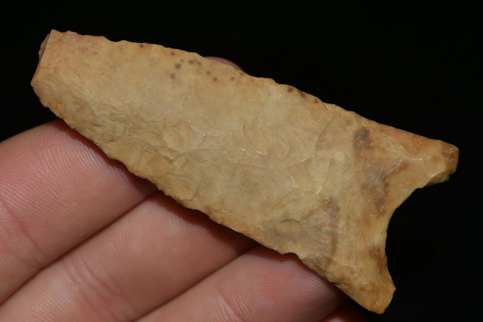 2 1/2" PALEO QUAD HEARTBREAKER, FOUND IN THE BENTON / (1 of 5)