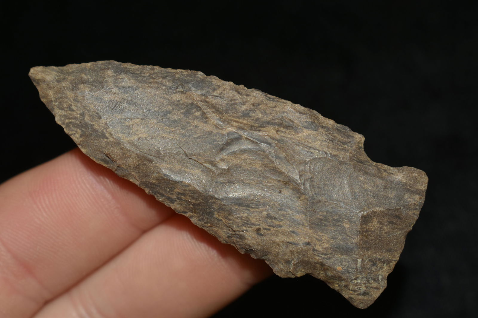 NICE 2 5/8" HARPETH RIVER FOUND IN THE BENTON / (1 of 5)