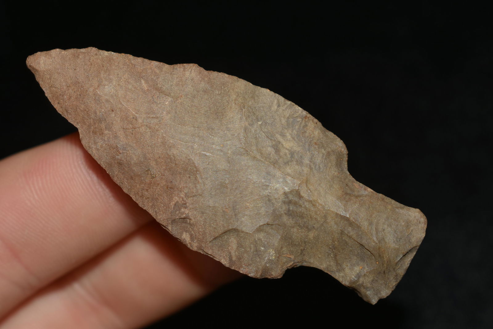 2 1/2" BAKERS CREEK FOUND IN THE BENTON / HUMPHREYS (1 of 5)