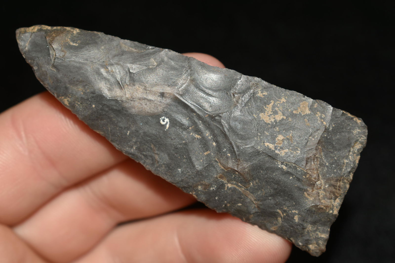 NICE 3" COPENA FOUND IN THE BENTON / HUMPHREYS COUNTY (1 of 5)