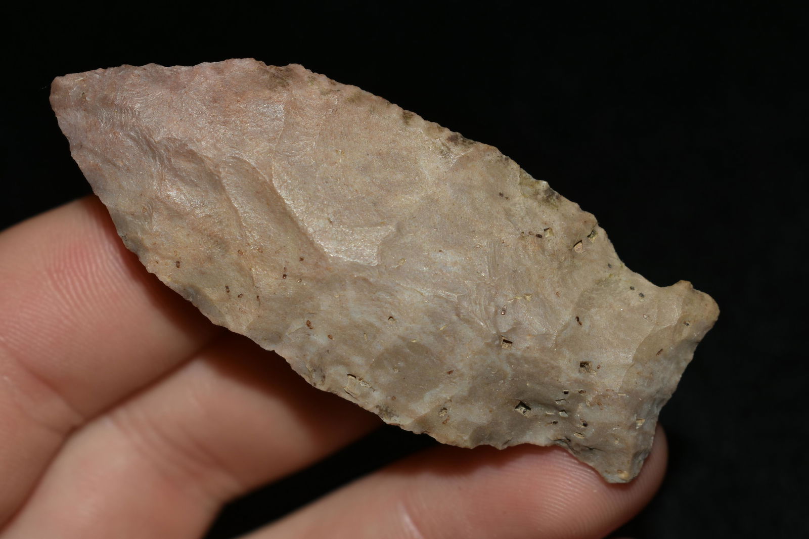 NICE 2 1/2" GREENBRIAR FOUND IN THE BENTON / HUMPHREYS (1 of 5)