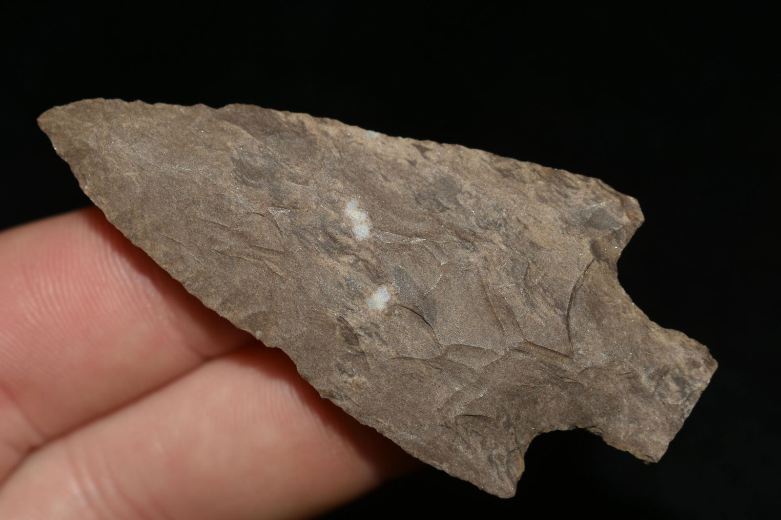 2 1/2" BUCK CREEK FOUND IN THE BENTON / HUMPHREYS (1 of 5)