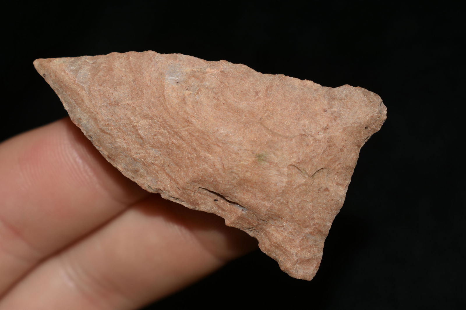 NICE 2 1/8" PALEO QUAD FOUND IN THE BENTON / HUMPHREYS (1 of 5)