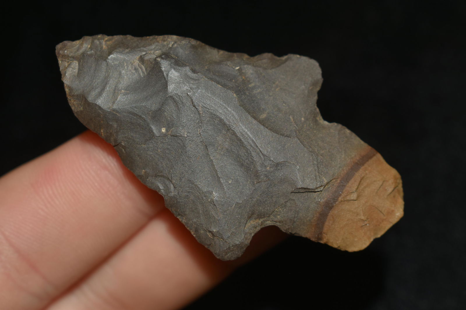 2 3/8" HORSE CREEK CHERT ADENA, NICE TRI-COLOR EXAMPLE (1 of 5)