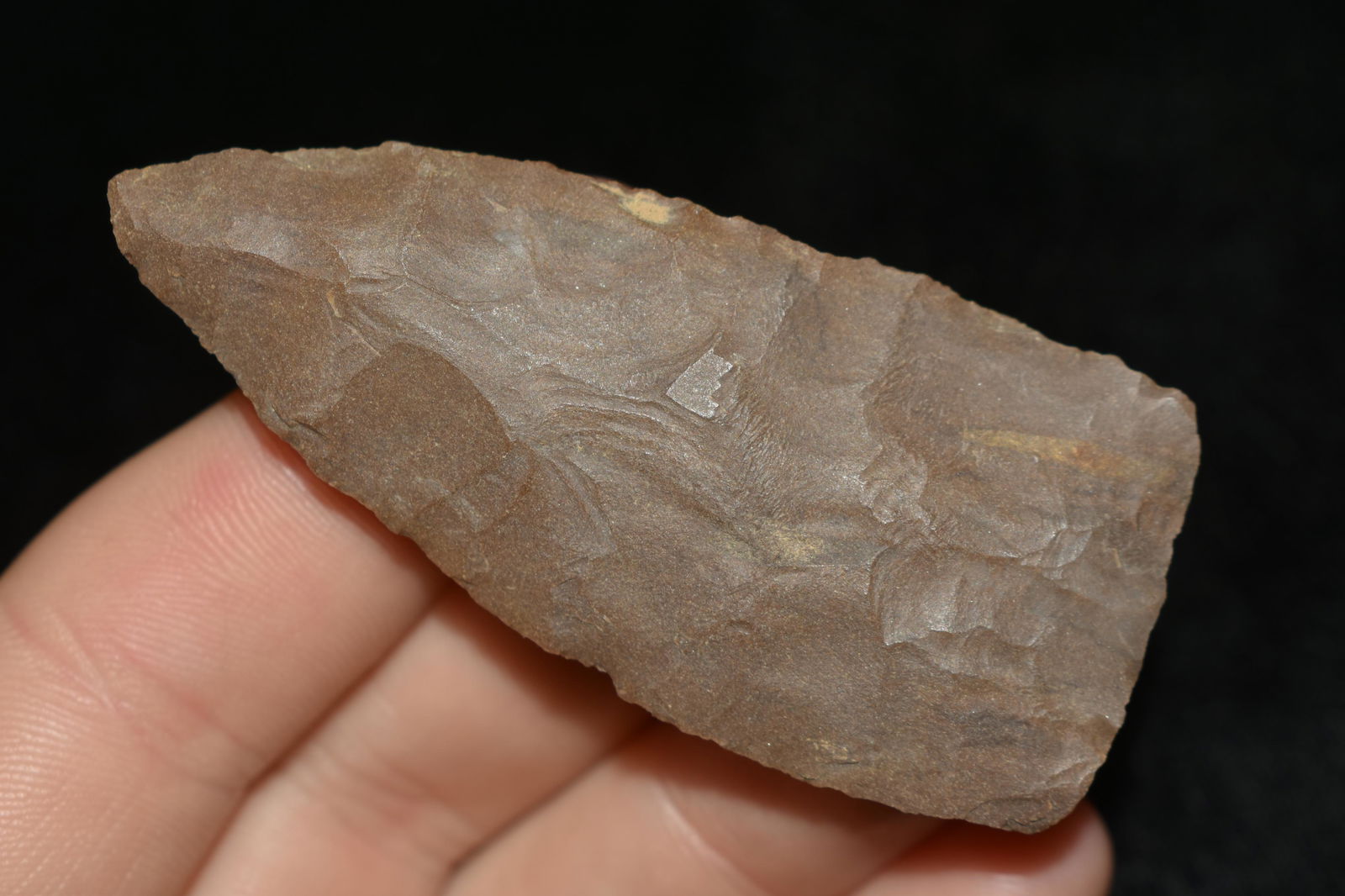 2 3/4" COPENA FOUND IN THE BENTON / HUMPHREYS COUNTY (1 of 5)