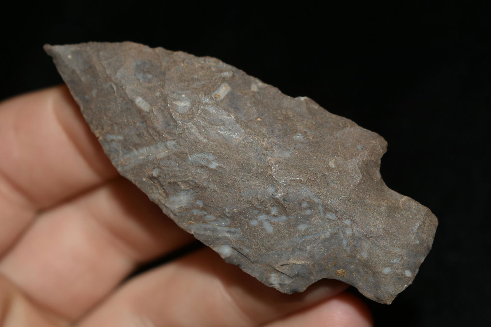 AMAZING 2 3/4" NEEDLE TIPPED ARCHAIC SQUARE STEM FOUND (1 of 5)