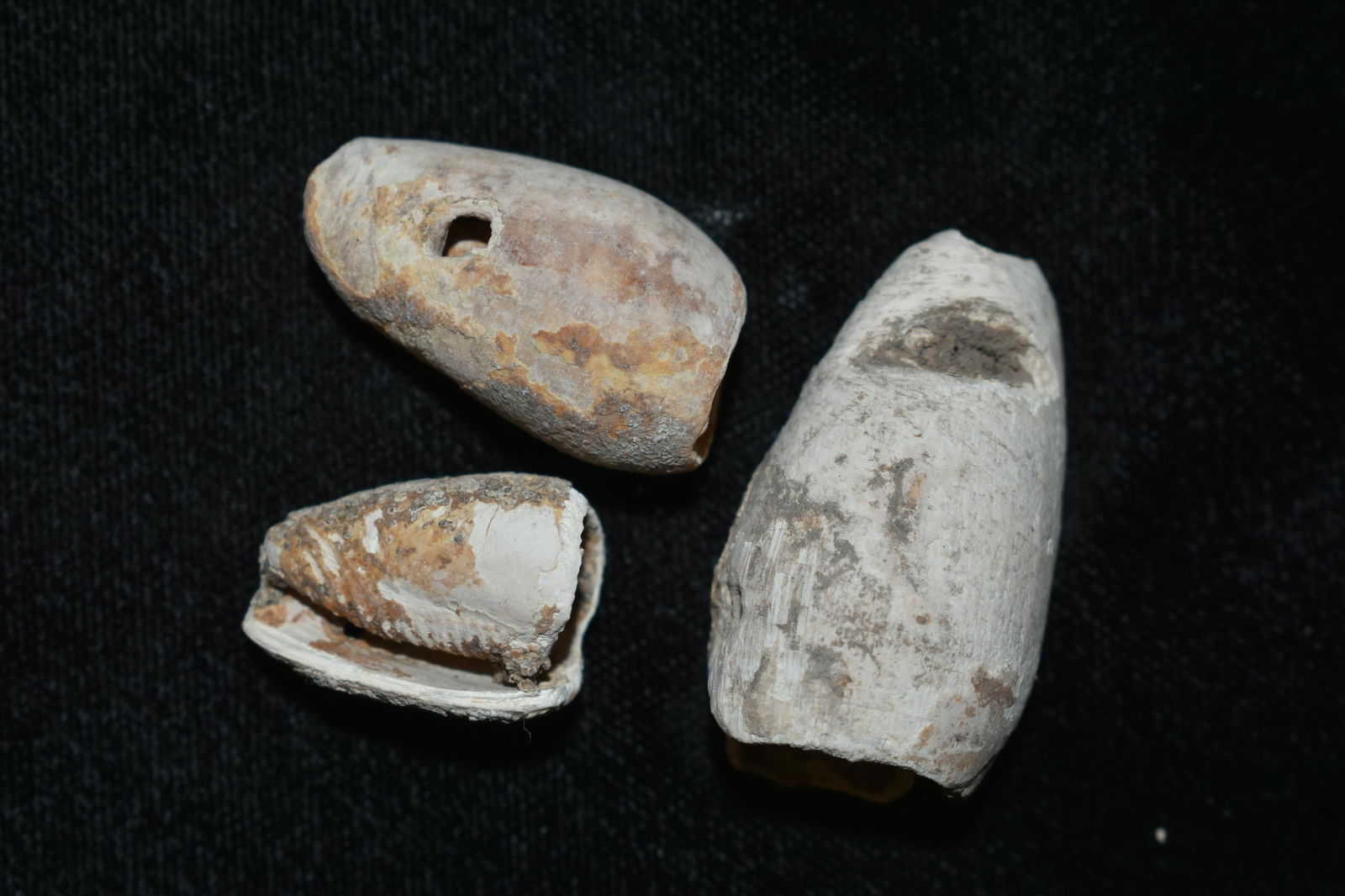 LOT OF 3 LARGE PRE-COLUMBIAN SHELL PENDANTS FROM MEXICO (1 of 3)