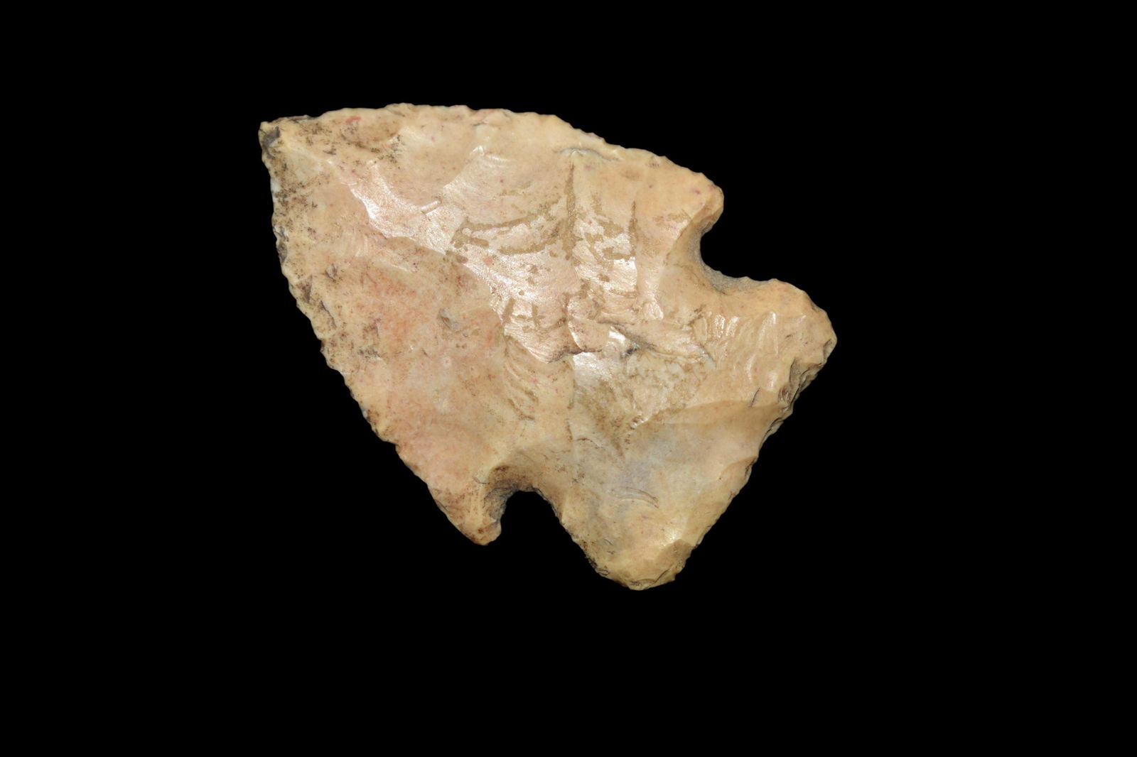 1 5/8" Woodland Hopewell Point,  Marion/ Lewis Co (1 of 5)