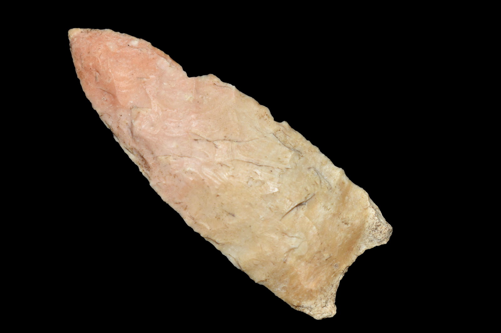 2 3/4" Angostura Point, Native American Artifacts (1 of 5)