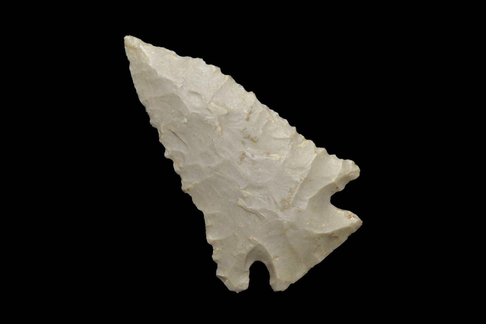 2" Pine Tree, Site Swamp Landing, HA IN, Seam Field Sit (1 of 5)