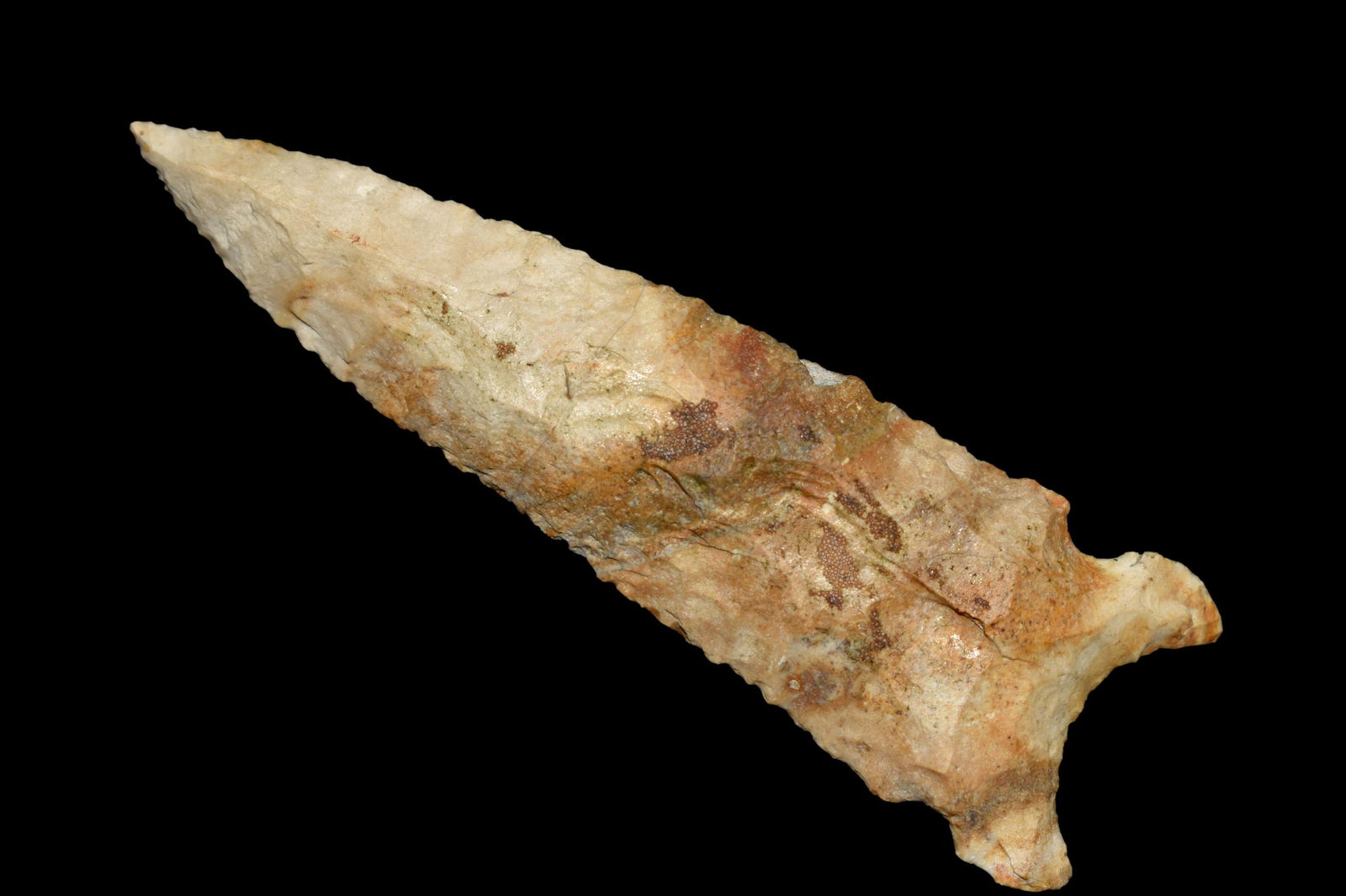 3 9/16" Graham Cave, Jerry Dickey COA, Broken and (1 of 5)