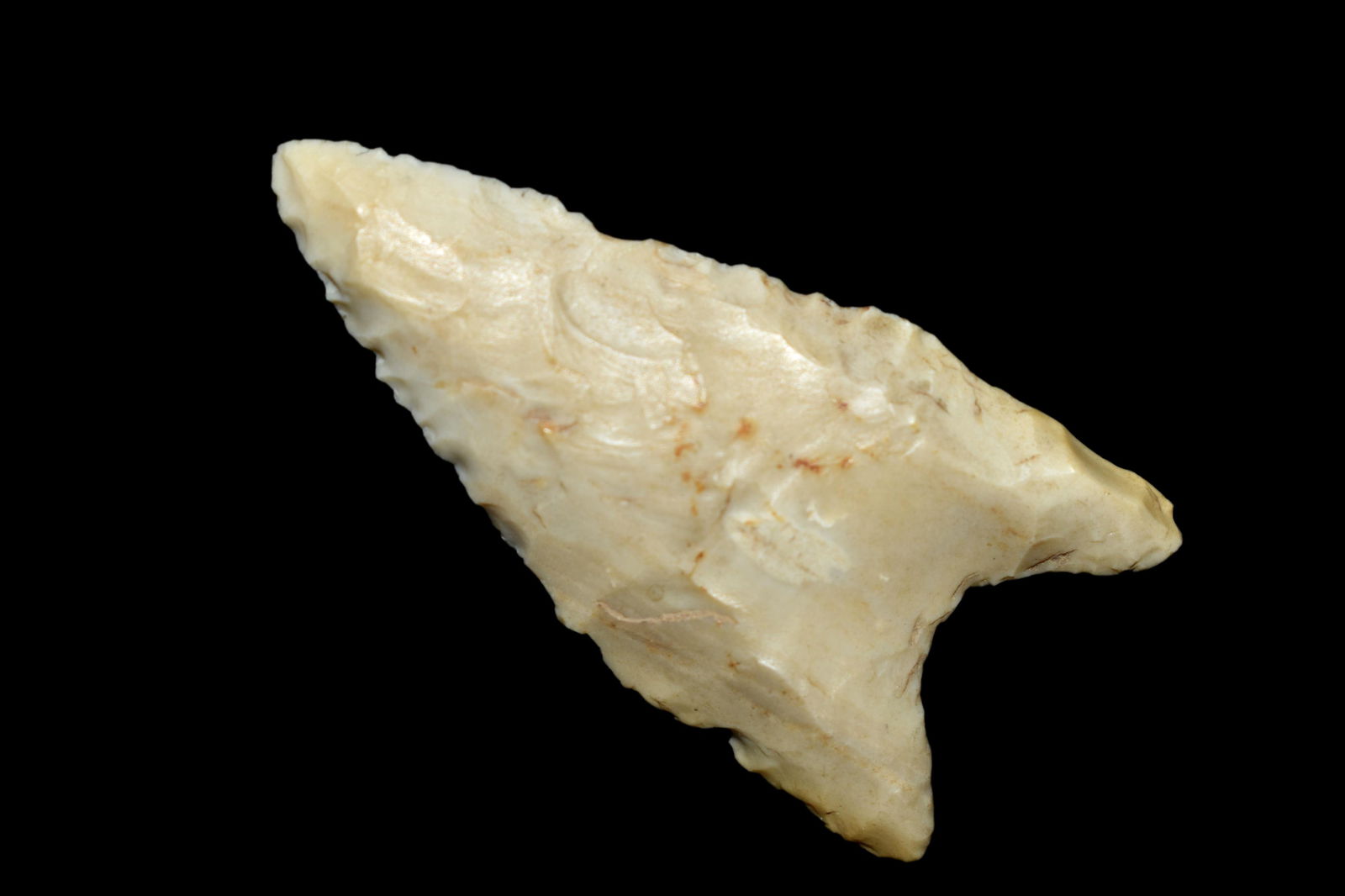 1 7/8" Dalton Point, S.E Arkansas (1 of 1)