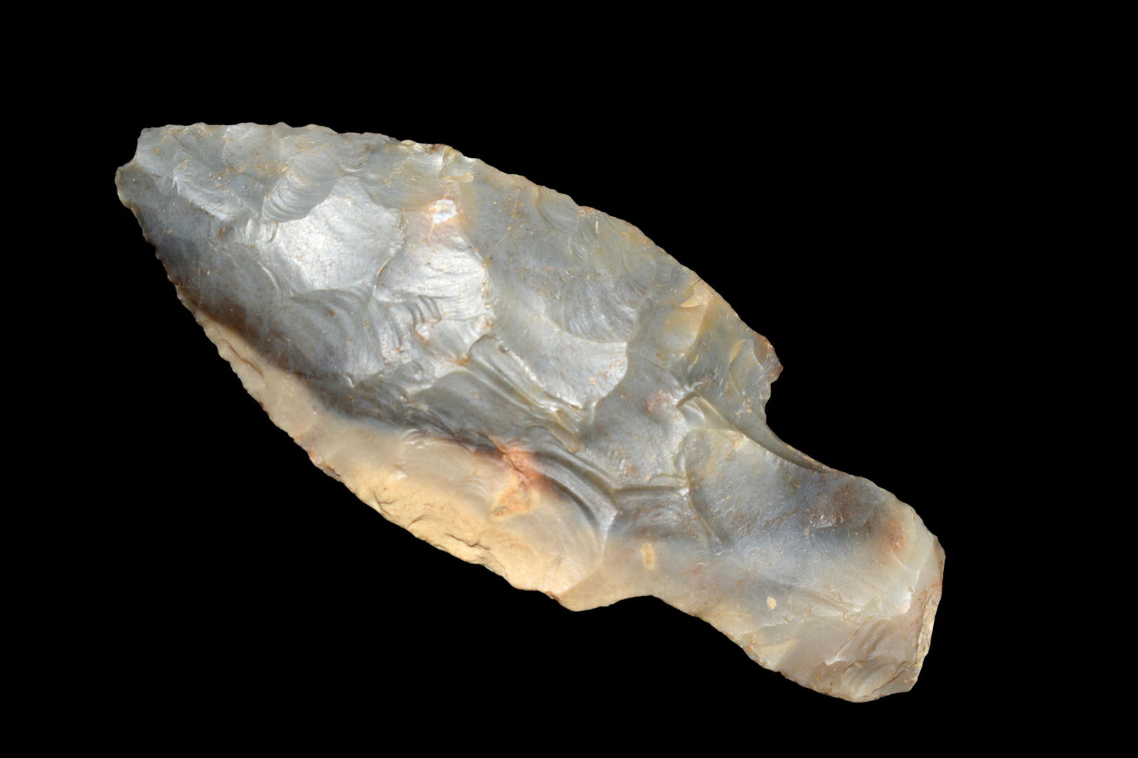 3" Turkey Tail, KY,  Native American Artifacts (1 of 5)