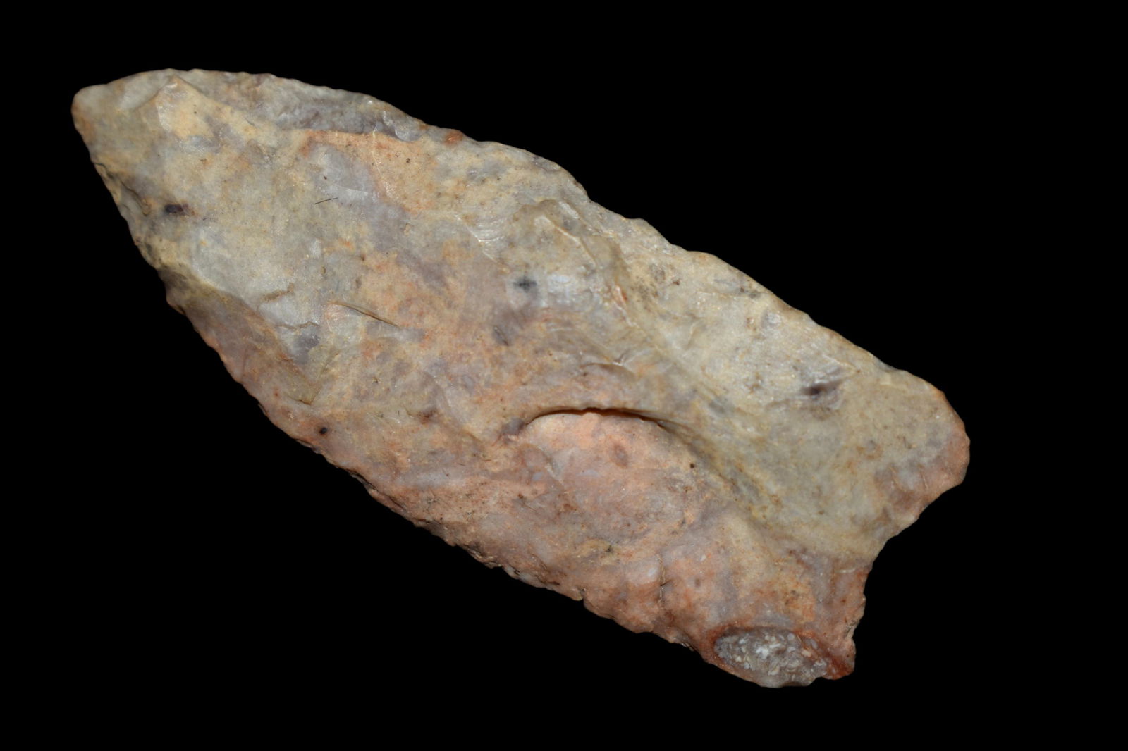 2 1/8" Dalton, AR,  Native American Artifacts (1 of 5)