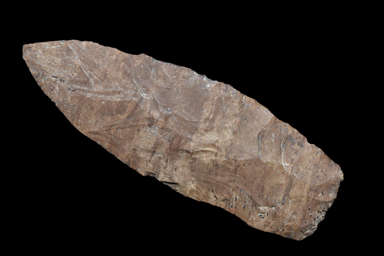 3 1/2 Lanceolate Blade, TN, Native American Artifacts (1 of 5)