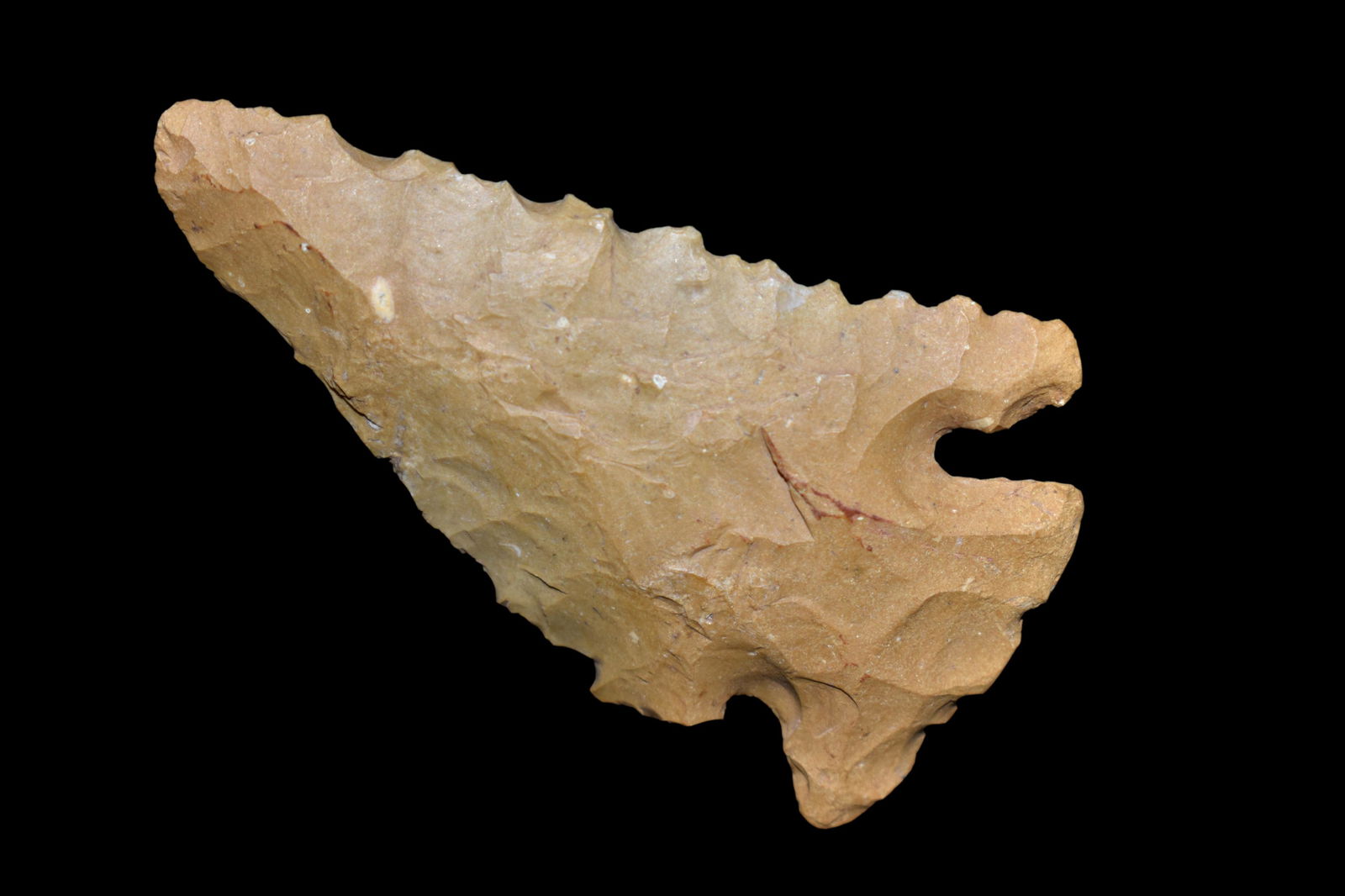 2 3/8" Lost Lake Point, TN, Native American Artifacts: 2 3/8" Lost Lake Point, TN, Native American Artifacts