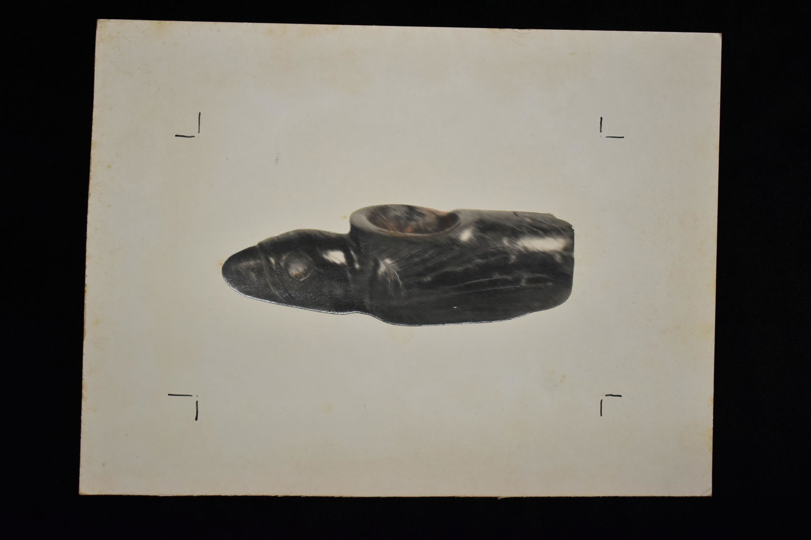 Black and White Photo 1957, BW Stephens and Brian: Black and White Photo 1957, BW Stephens and Brian Noblock, Artifact Collection Documentation