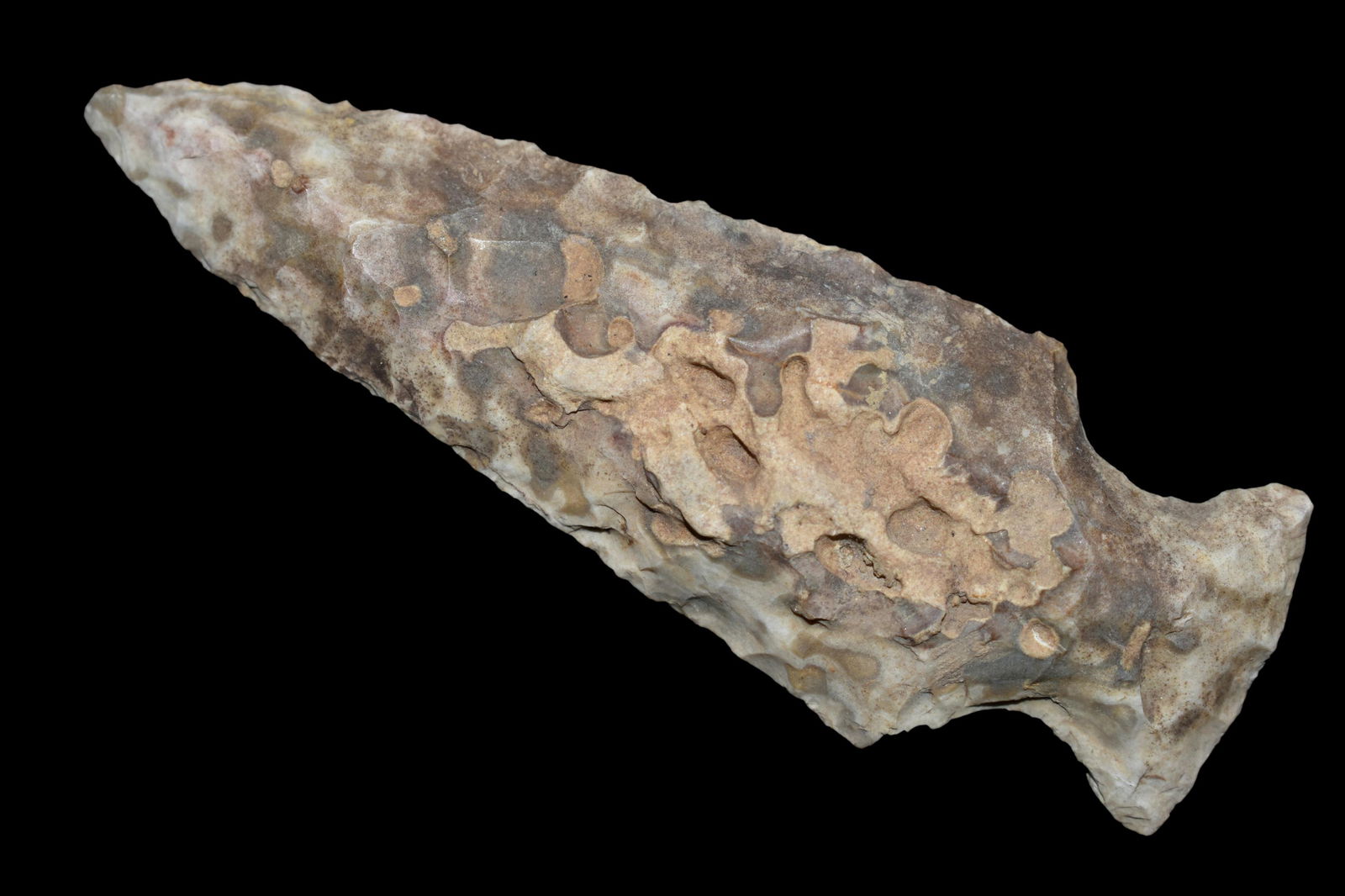 3 1/8" Motley,  Found by Delbert Roush. Delbert Hunted (1 of 6)