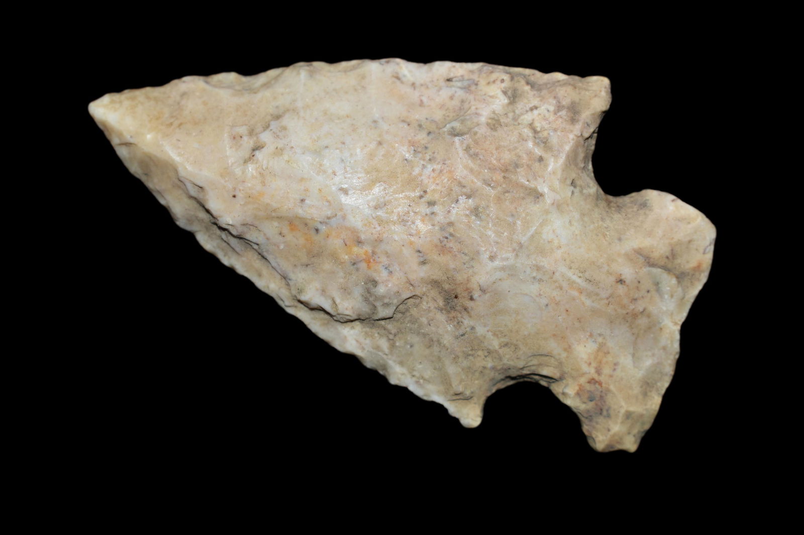 2 1/2" Gibson,  Found by Delbert Roush. Delbert Hunted (1 of 4)