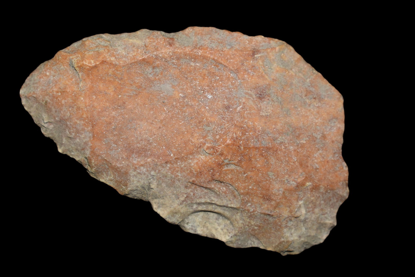 2 1/4" Blade, Found by Delbert Roush. Delbert Hunted (1 of 7)