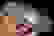 item-101737483=2