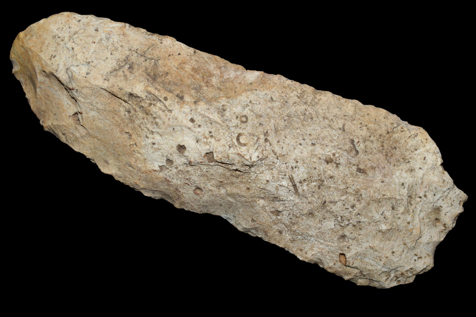 6 1/8" Digger, Native American Artifact, Found in Adams (1 of 6)