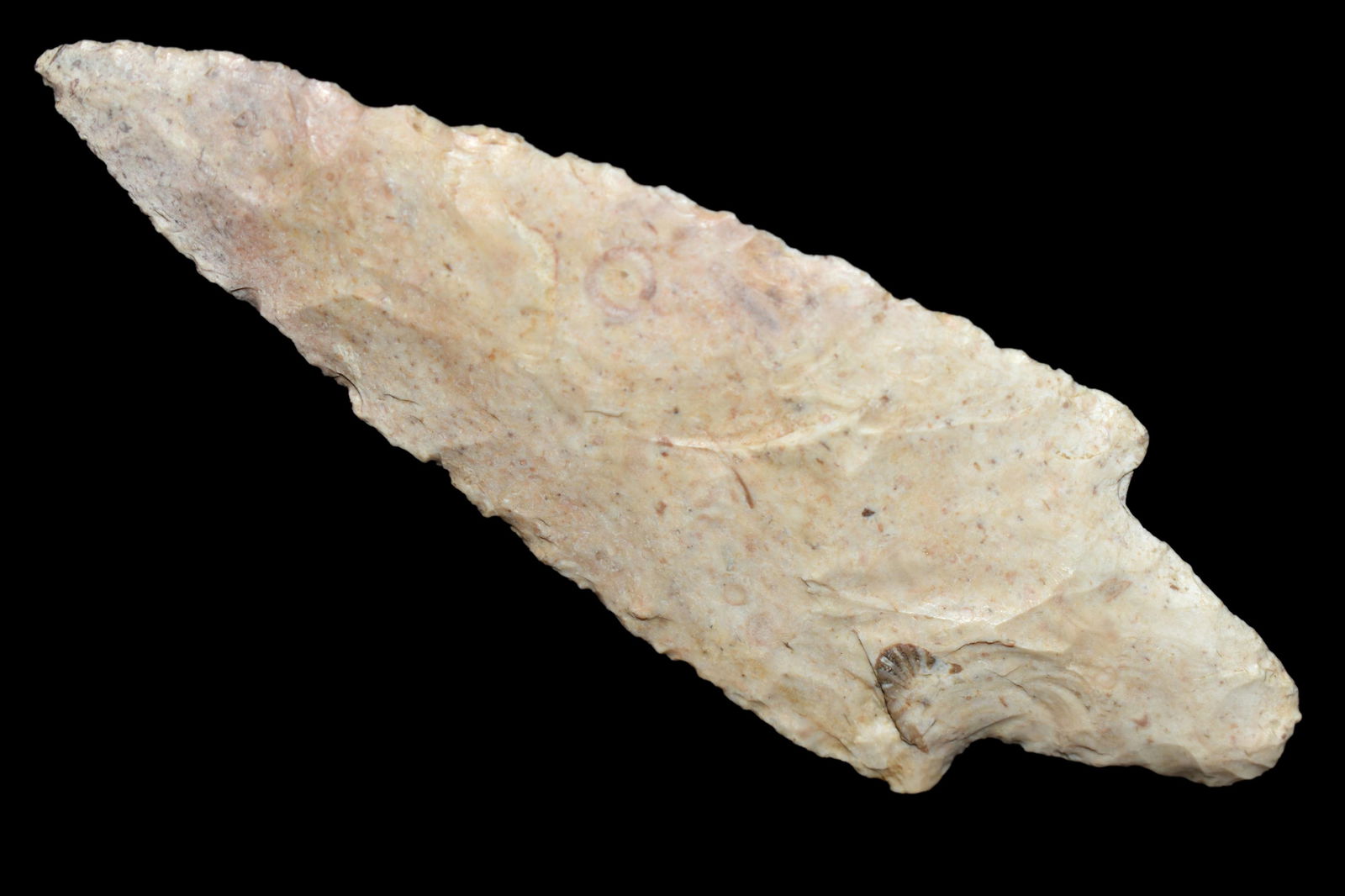 3 13/16" Dickson Point, Boone Co MO,  Meadows COA, (1 of 5)